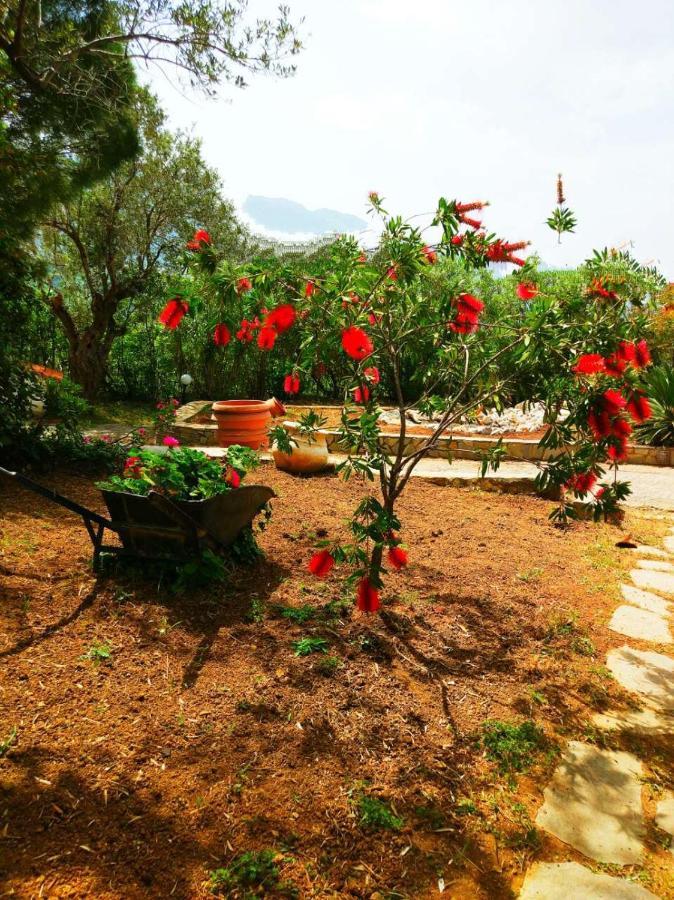 Villa Maroudia Kymi Exterior photo