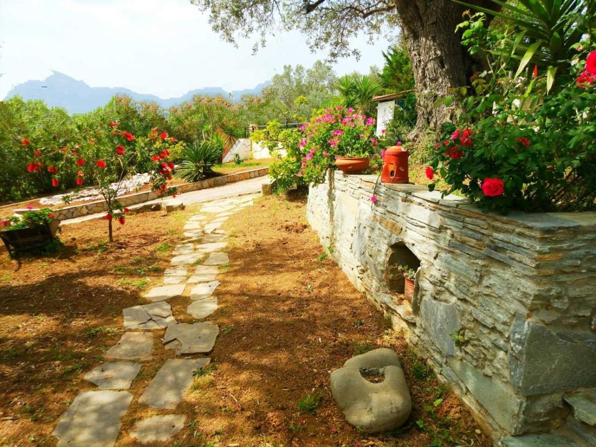 Villa Maroudia Kymi Exterior photo